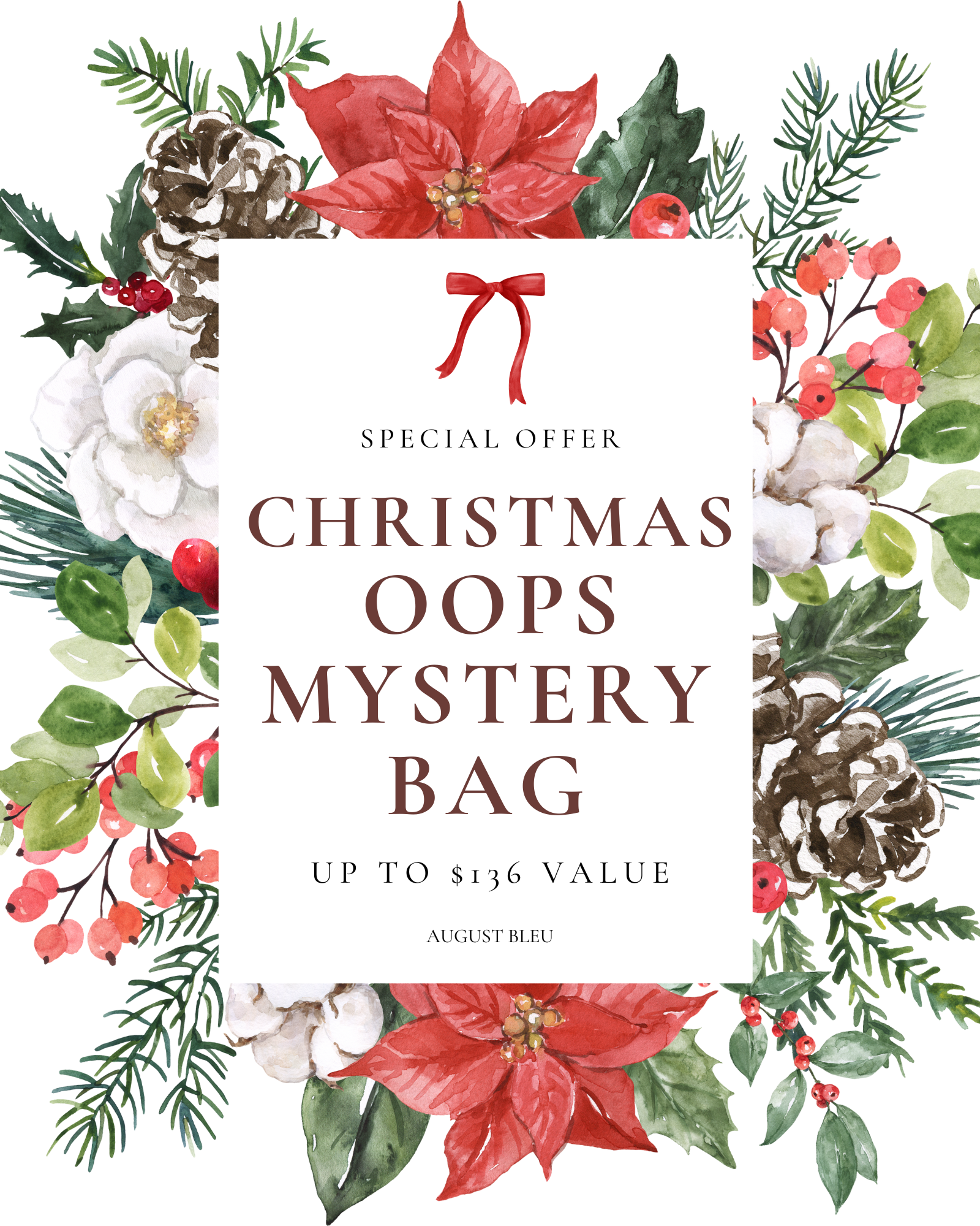 Christmas Oops Mystery Bags