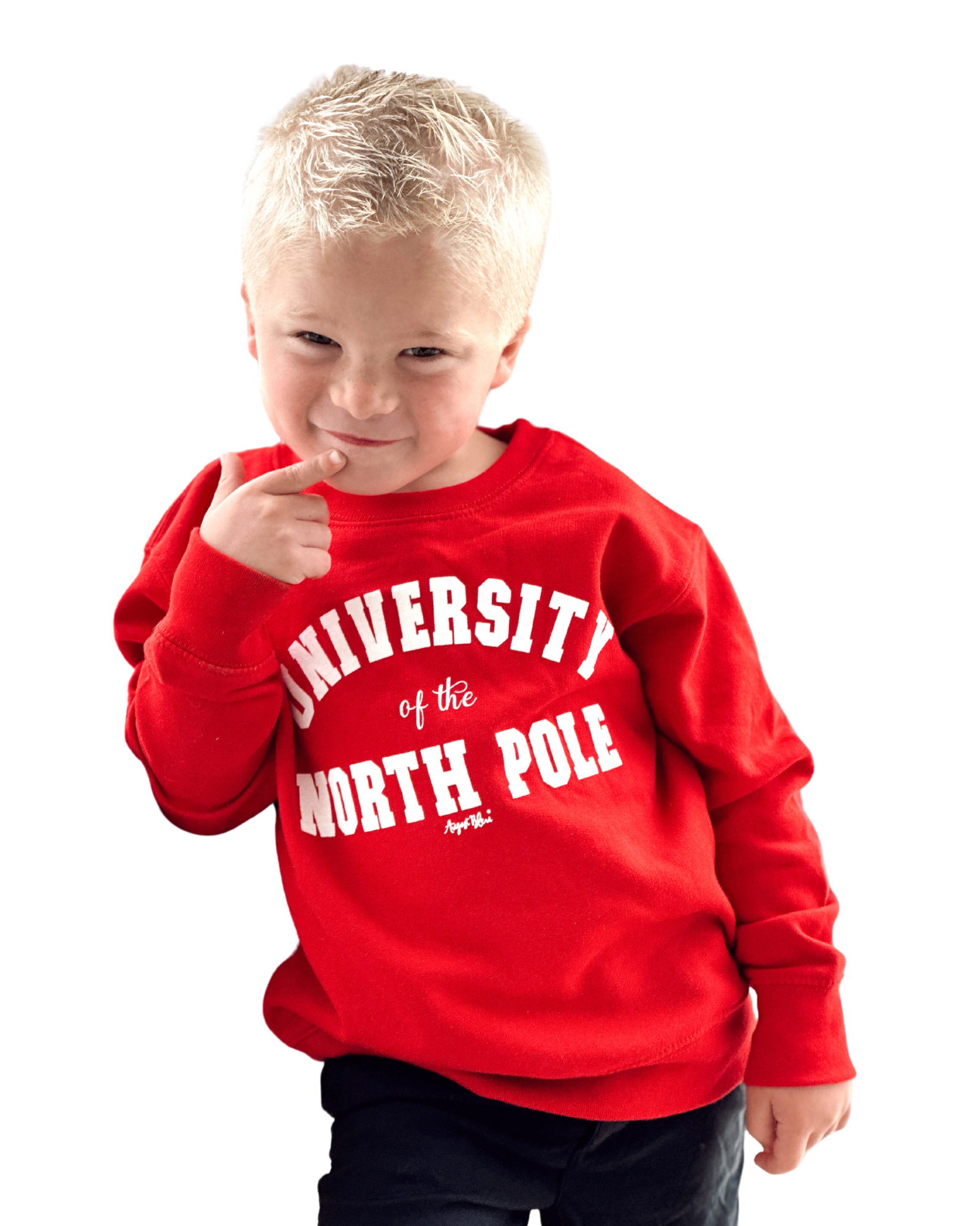 University of the North Pole Kids Sweatshirt